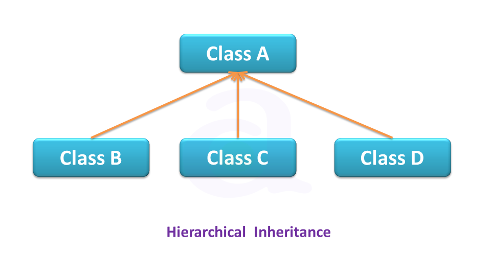 Hierarchical  Inheritancee in java