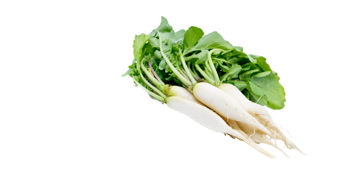 Vegetable names in English and Bengali